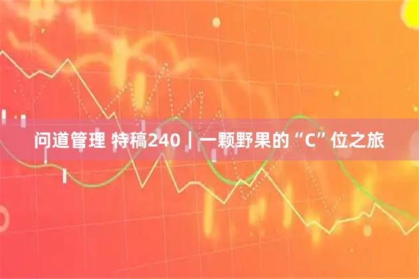 问道管理 特稿240｜一颗野果的“C”位之旅